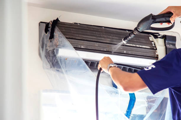 Best Air Vent Cleaning Services  in Temple Terrace, FL